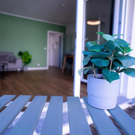 Design Apartment - Balkon - Induktionskochfeld - Zentral Dresda Esterno foto
